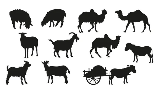 Große Reihe Von Viehsilhouetten Kamele Schafe Ziegen Esel Vektorbilder — Stockvektor