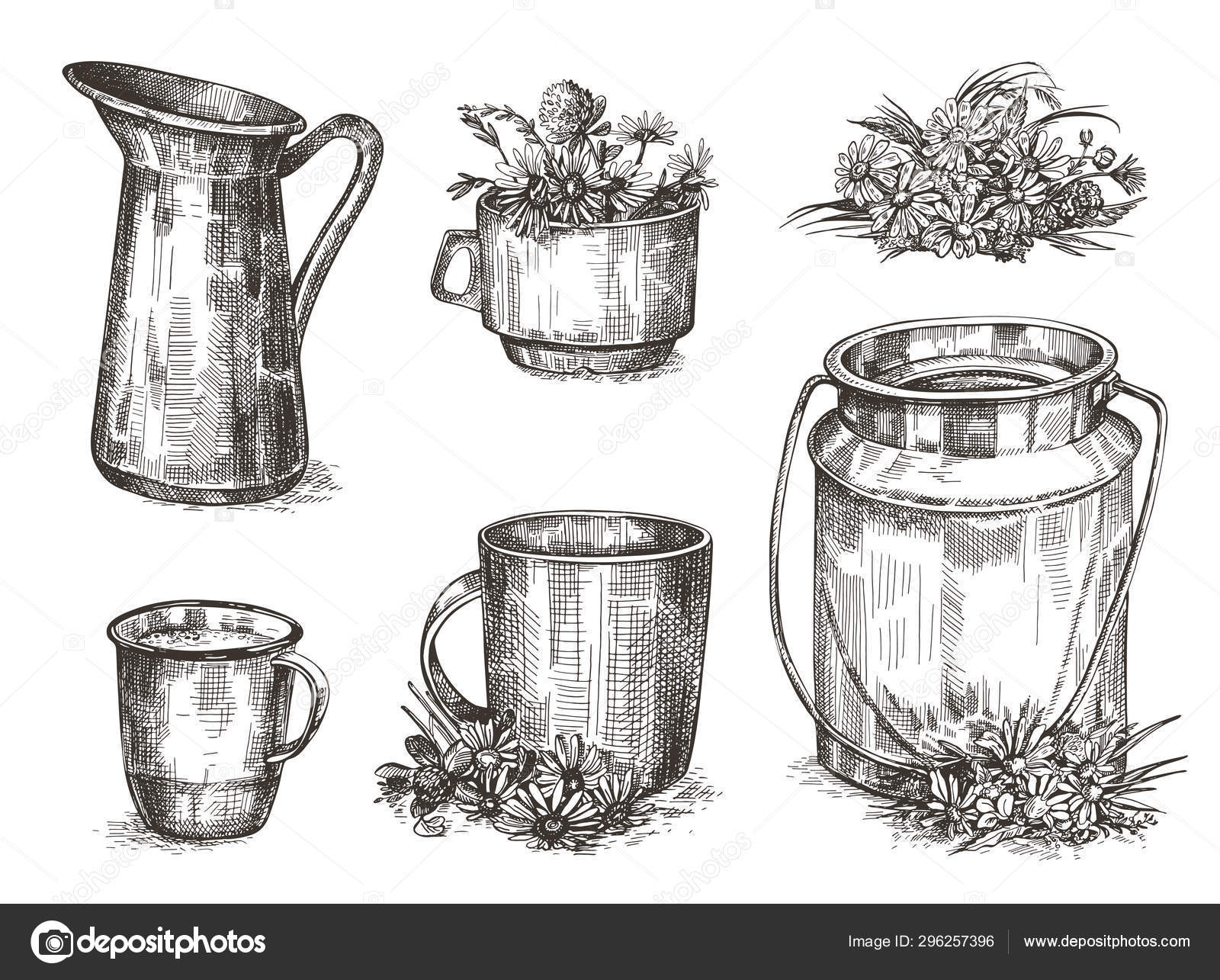 Milk Can Jug Cups Wildflowers Set Sketch Images Vintage Illustrations Stock Vector Image By C Tutsi N