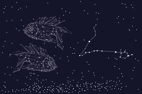 Знак зодиака Рыбы. Символ астрологического гороскопа. Горизонтальное знамя . — стоковый вектор
