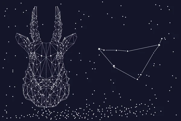 Dierenriem teken Steenbok. Het symbool van de astrologische horoscoop. Horizontale banner. — Stockvector