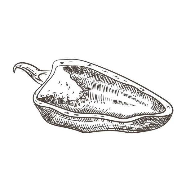 Metade da pimenta. Paprika. Desenho de gráficos. Desenho vintage . — Vetor de Stock