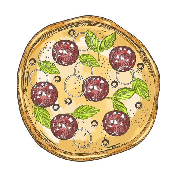 Пицца с колбасой, луковыми кольцами, базиликом и оливками. . — стоковый вектор