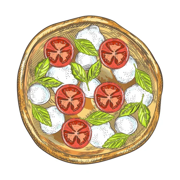 Пицца с помидорами, сыром и базиликом. Винтажная графика . — стоковый вектор