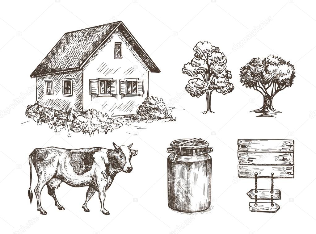 Village house, trees, wooden banner, cow, milk can. Rustic illustration.
