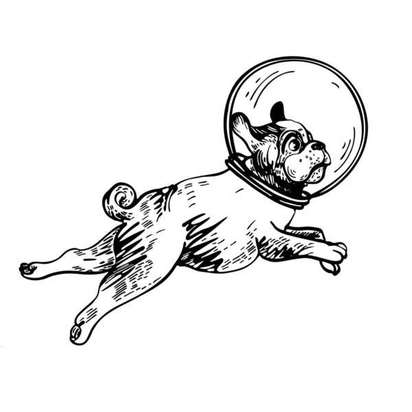 Векторное изображение мопса в шлеме астронавта . — стоковый вектор