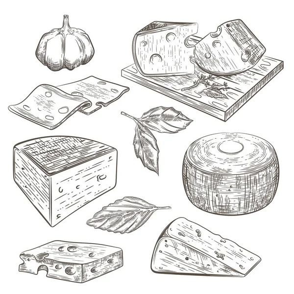 Farklı şekillerde peynir, fesleğen yaprağı ve sarımsak. Tahtada peynir.. — Stok Vektör