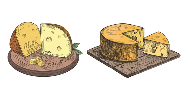 O queijo está em uma tábua de corte de madeira. Ilustração retrô vetorial . —  Vetores de Stock