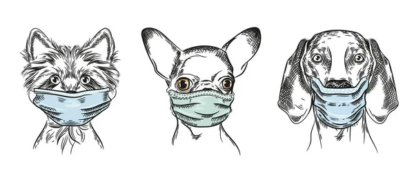 Hunde in medizinischen Masken. Reihe von Vektorillustrationen. — Stockvektor