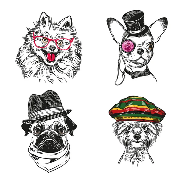 Hunde mit verschiedenem Zubehör. Chihuahua, Mops, Yorkshire Terrier und Pommernhund. — Stockvektor