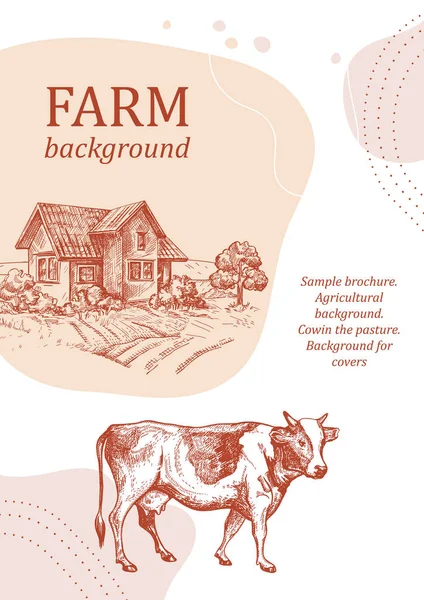 Przykładowa broszura. Wykształcenie rolnicze. CCow na pastwisku. — Wektor stockowy