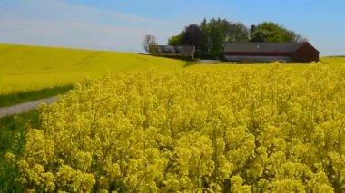 İsveç, İskandinavya 'da tecavüz vakası