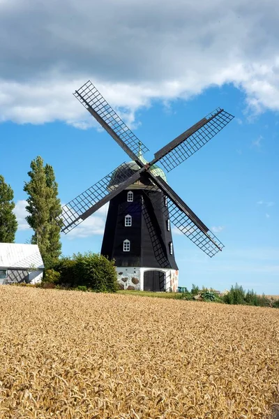 Hagestad, Ystad, İskandinavya ve İskandinavya 'daki buğday tarlasında eski bir rüzgar değirmeni.