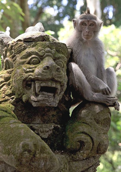 Monkey sitting on the shoulder of a stone demon (asura), Monkey Forest, Bali Island, Indonesia