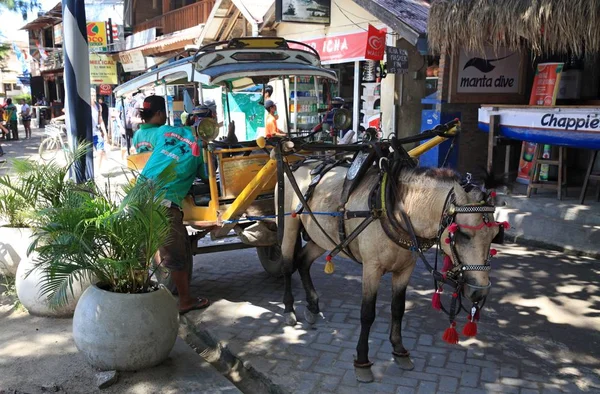 在印度尼西亚龙目岛附近的吉利 Eyre Travangar Meno 的珊瑚岛屿上 有一辆马车的马 是唯一的交通工具 运送游客和行李 — 图库照片