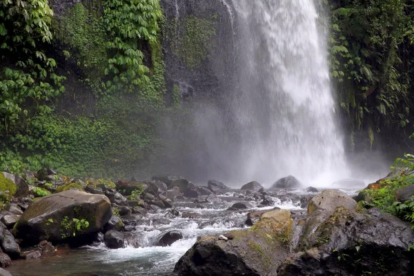 Водопад Сенданг Гили Острове Ломбок Индонезия Подножия Горы Ринджани Ринджани Лицензионные Стоковые Изображения
