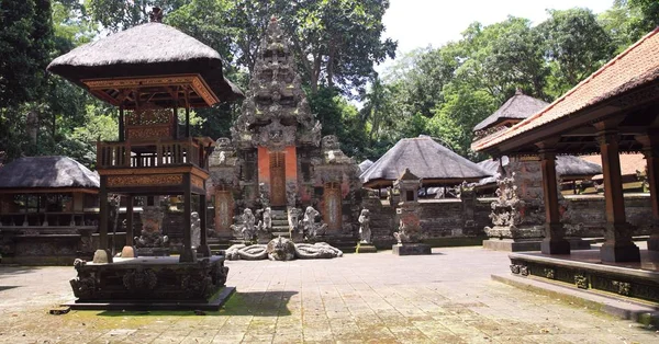 Kutsal Balinese Doğa Rezerv Maymun Orman Ubud Endonezya Onun Kutsal — Stok fotoğraf