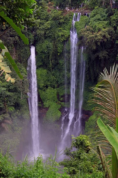 Sekumpul Waterfall Whole Family Waterfalls Meters High Only Two Them — Stock Photo, Image