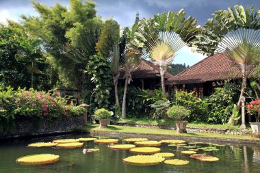 Tirtha Gangga - Endonezya, Bali Adası doğuda eski Kraliyet Sarayı Karangasem Royal tarafından sahip olunan onun su palace için bilinir. (Bu havuzları ve çeşmeler yemyeşil bir bahçe, taş oymalar ve heykelleri çevrili bir labirent).