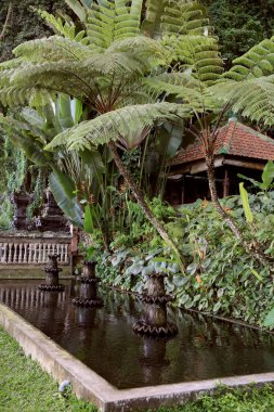 Tirtha Gangga - Endonezya, Bali Adası doğuda eski Kraliyet Sarayı Karangasem Royal tarafından sahip olunan onun su palace için bilinir. (Bu havuzları ve çeşmeler yemyeşil bir bahçe, taş oymalar ve heykelleri çevrili bir labirent).
