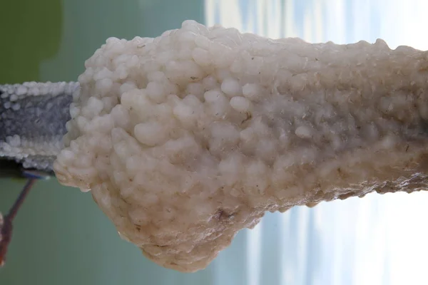 Salt Kristallerna Döda Havet Saltvatten Insjö Mellanöstern Beläget Mellan Den — Stockfoto