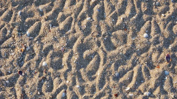 Spuren Von Möwen Sand Ufer Des Flusses Südlichen Käfer — Stockfoto