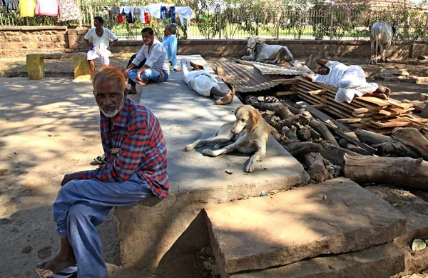 Ndianen Hebben Rust Liggen Zitten Stenen Platen Planken Naast Honden — Stockfoto