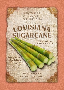 Louisiana hayat New Orleans kültürü arka plan damasko sanat Güney yaşam