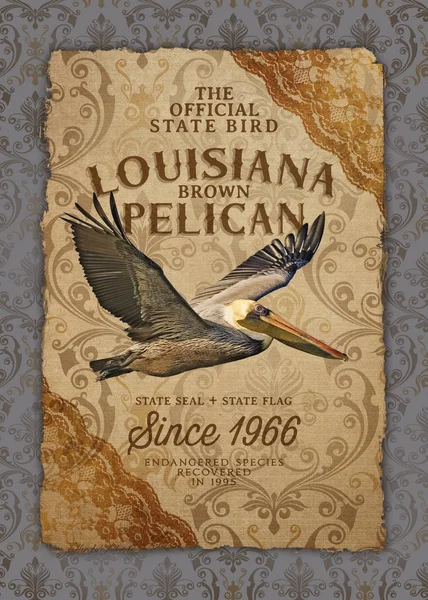 Luisiana Vida Nueva Orleans Cultura Antecedentes Damasco Obra Arte Southern — Foto de Stock