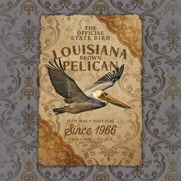 Nola Culture Collection Digital Création Design Nouvelle Orléans Louisiane Cuisine — Photo