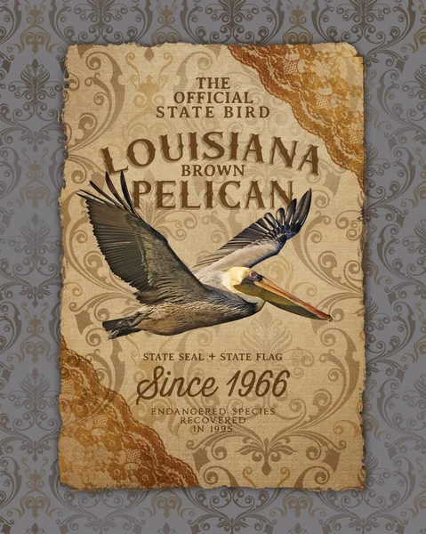 Nola Culture Collection Digital Artwork Design New Orleans Louisiana Cuisine — Stock Photo, Image