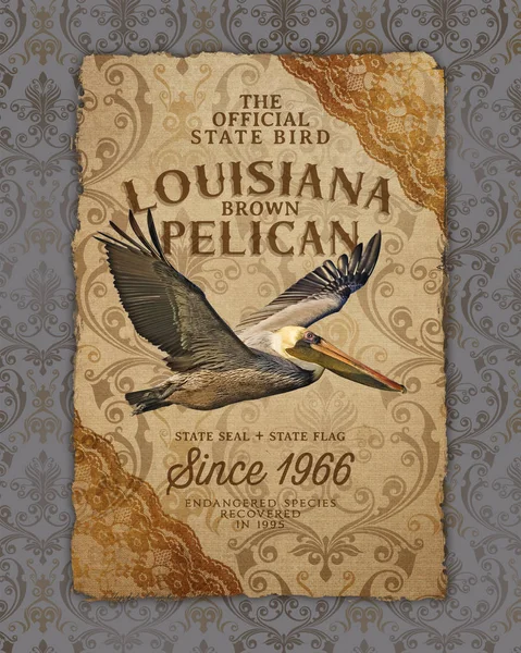 Nola Culture Collection Digital Création Design Nouvelle Orléans Louisiane Cuisine — Photo