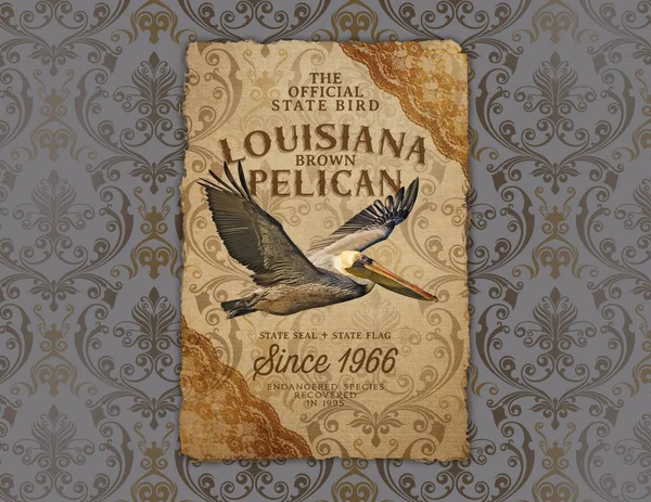 Nola Culture Collection Digital Artwork Design Nueva Orleans Louisiana Cocina — Foto de Stock