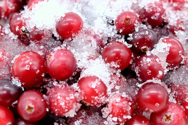 Red Forest Berry Cranberries Sugar Royalty Free Stock Photos