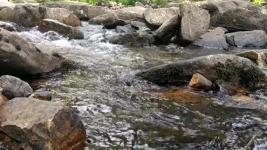Nehir akıyor. Taganay Milli Parkı