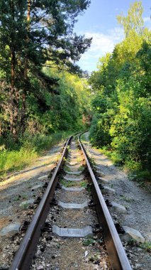 Ormanda terk edilmiş demiryolu.