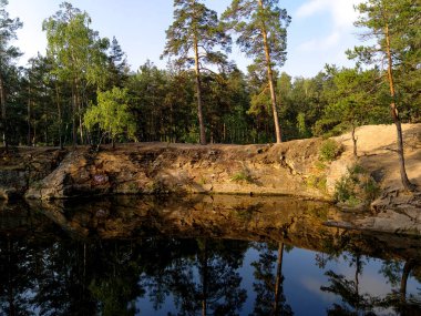 Şehir parkında gölet