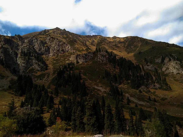 Vue Sur Montagne Boisée — Photo