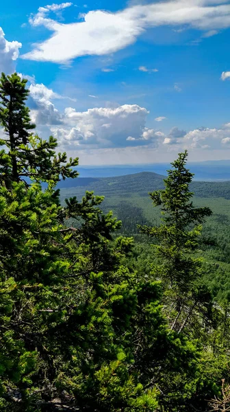 Dağ manzarası. Yazın dağ vadisi.