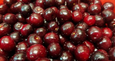 Olgun kiraz meyveleri bir tabakta