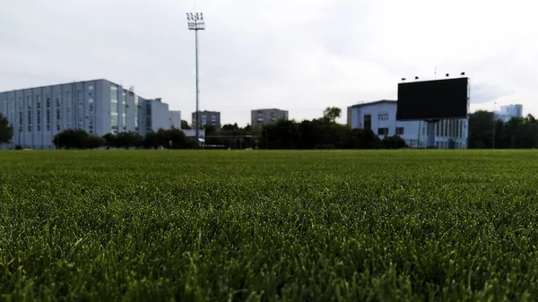 Maaien Groen Gazon Close Rechtenvrije Stockafbeeldingen