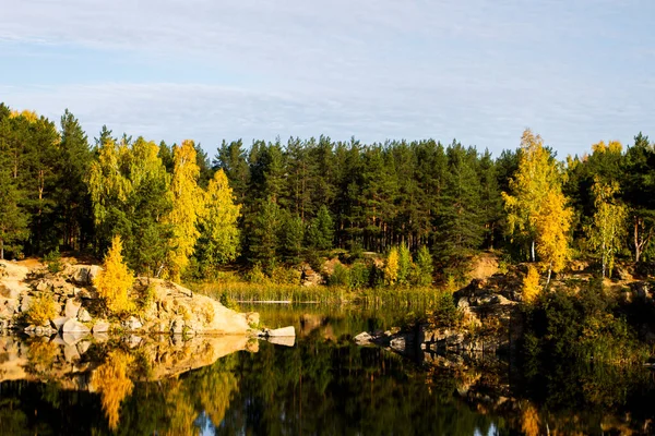 秋の小さな森湖 — ストック写真