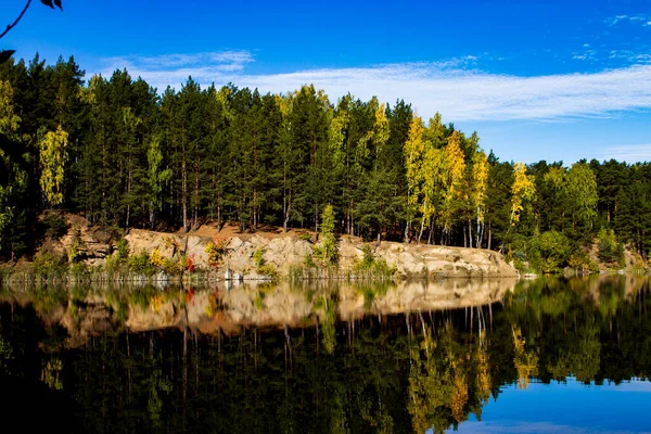 Klein Bos Meer Herfst Bij Zonnig Weer Rechtenvrije Stockafbeeldingen