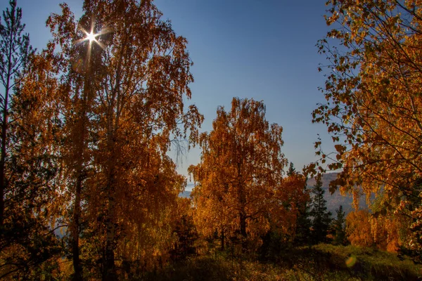 山の中の秋の早朝 — ストック写真