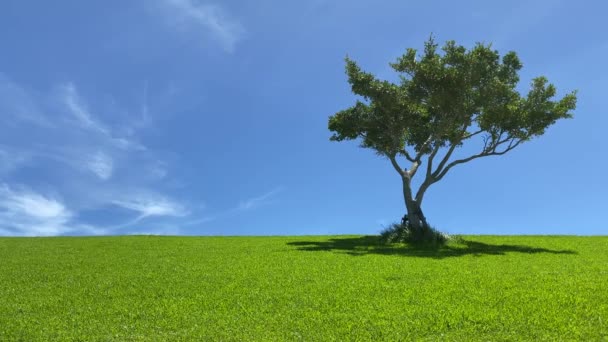 Cielo Azul Soleado Verano Hierba Exuberante Árbol — Vídeo de stock