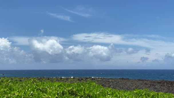 岬の岩と植物 夏の晴れ空 海と沖縄の観光名所02 — ストック動画