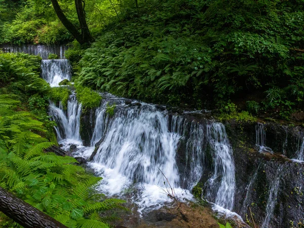長野県の観光名所 白糸の滝 へ向かう途中の小さな滝 — ストック写真