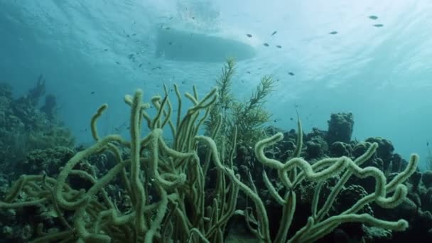 Barco Sobre Arrecife Coral Paisaje Bajo Perspectiva Del Agua Mar — Vídeo de stock
