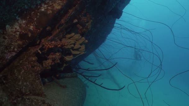 在沉没的沉船 水下射击水肺潜水员 博内尔 — 图库视频影像