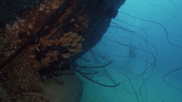 Plongeur Naufrage Tir Sous Marin Bonaire Séquence Vidéo