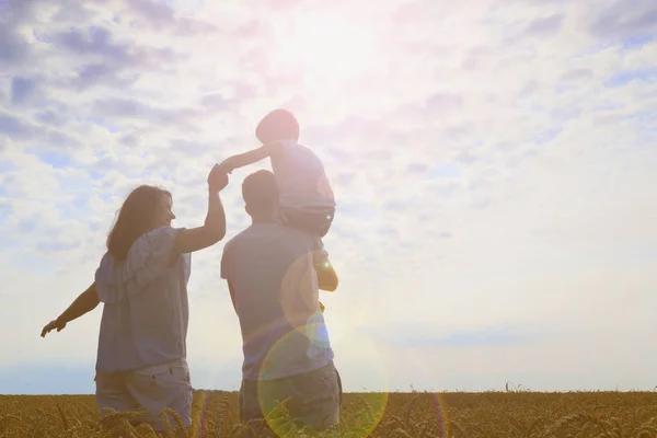 Mutlu Bir Aile Anne Baba Oğul Buğday Alan Güneşte Bakmak — Stok fotoğraf